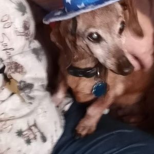 Meet your Posher, Evelyn